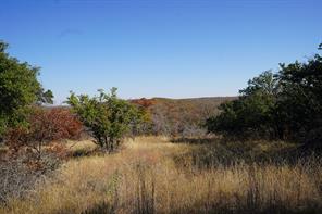 TBD 29.15 Highway 36, Comanche, TX, 76442