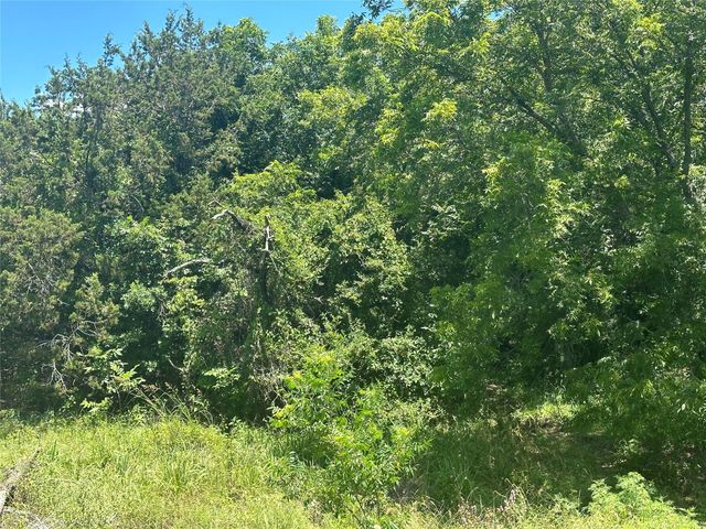 TBD Peninsula, Bluff Dale, TX, 76433