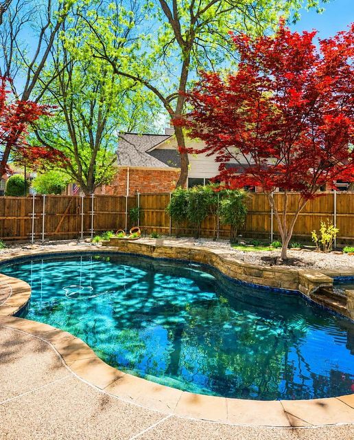 113 Lake Forest Ct — Firewheel Estates