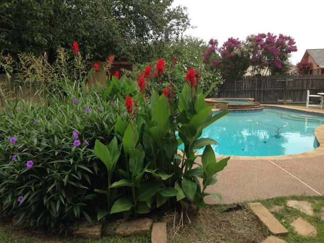 6901 Red Fox, Fort Worth, TX, 76137