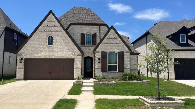 1817 Friendship